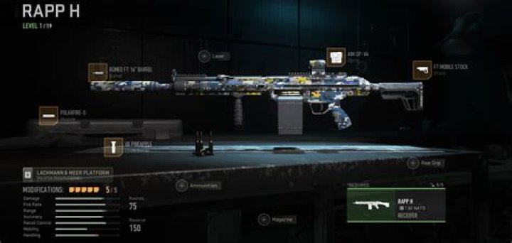 Call of Duty: Warzone 2- Best RAPP H Class