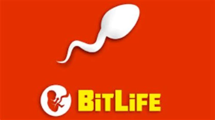 Can BitLife be played on PC?