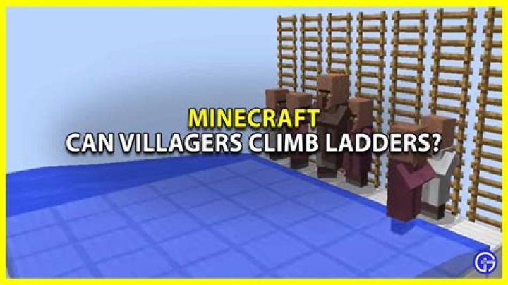 Can villagers climb ladders?