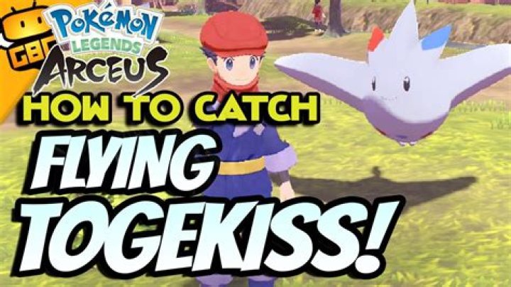 How To Catch Flying Pokemons In Pokemon Legends Arceus?