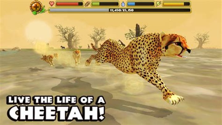 50 Games Like Cheetah Simulator