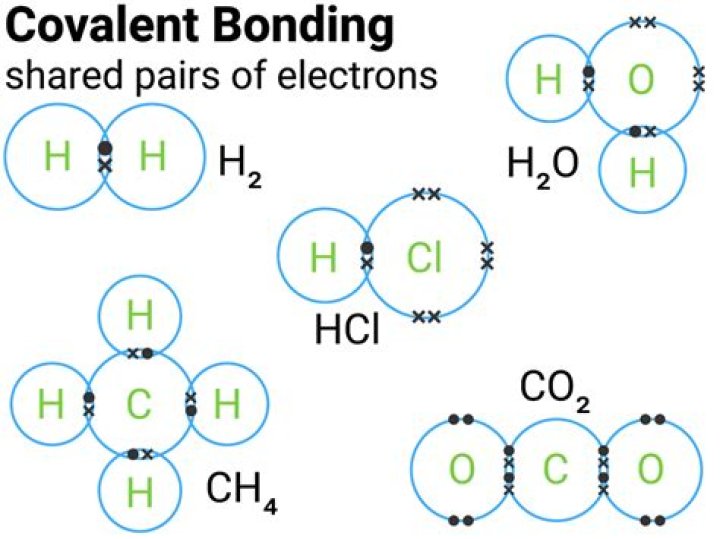 Covalent Bonds Quiz