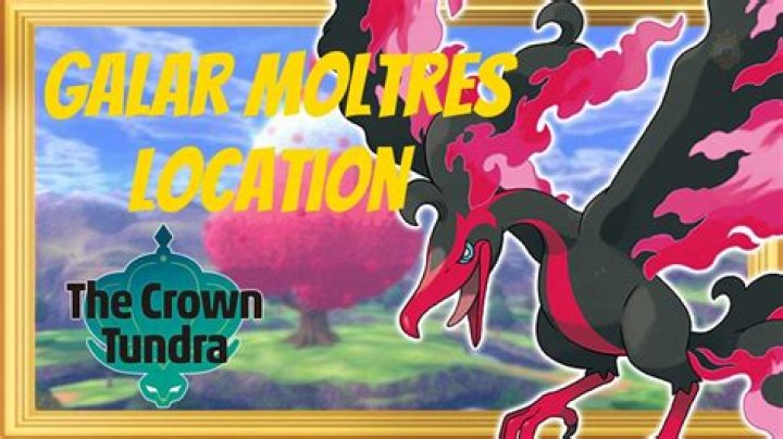 Pokemon Crown Tundra: How To Catch Galarian Moltres