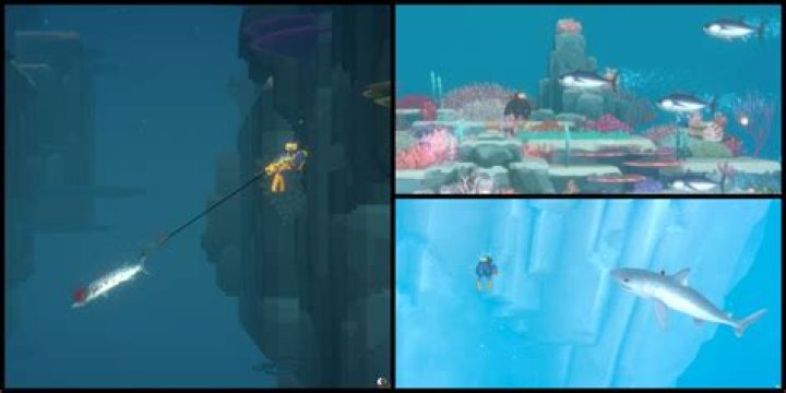 DAVE THE DIVER – Semi-Permanent Party Fish Spawning