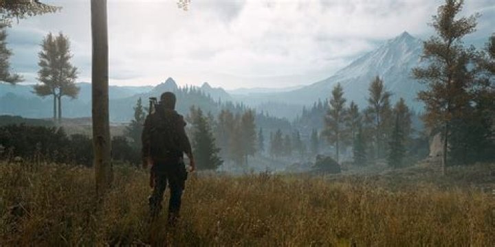 
Days Gone PC Review