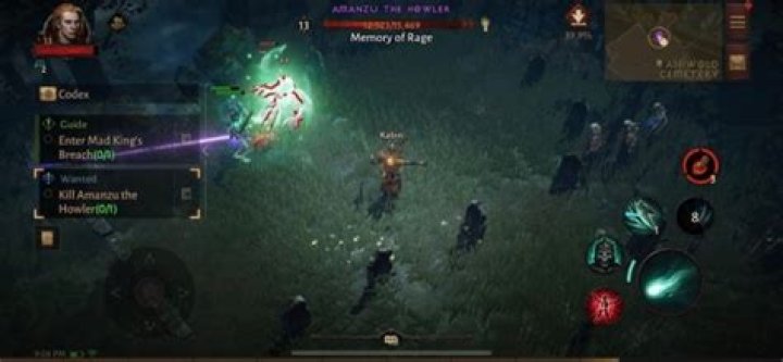 Diablo Immortal: How To Raid Hidden Lairs Easily