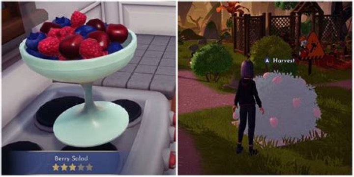 Disney Dreamlight Valley: How To Make Berry Salad