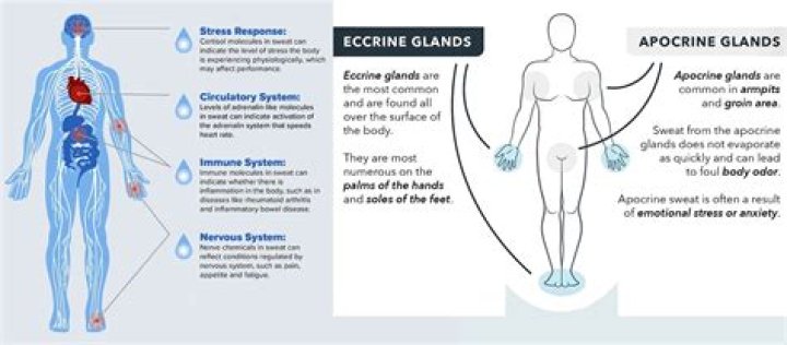 Happy Hospital: ASMR Doctor - The doctors are sweating and I don't ..