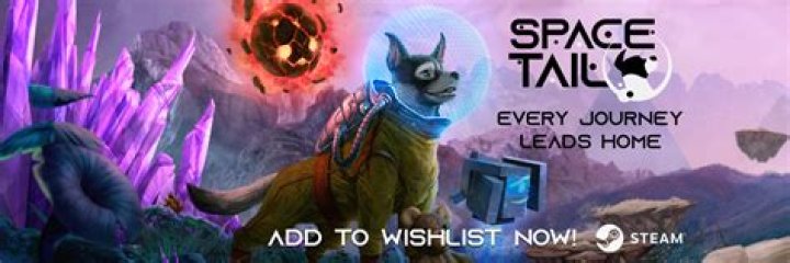 Dog Adventure Space Tail Launching Later This Year