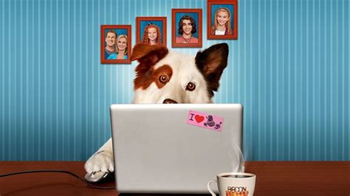 Dog With a Blog Quiz