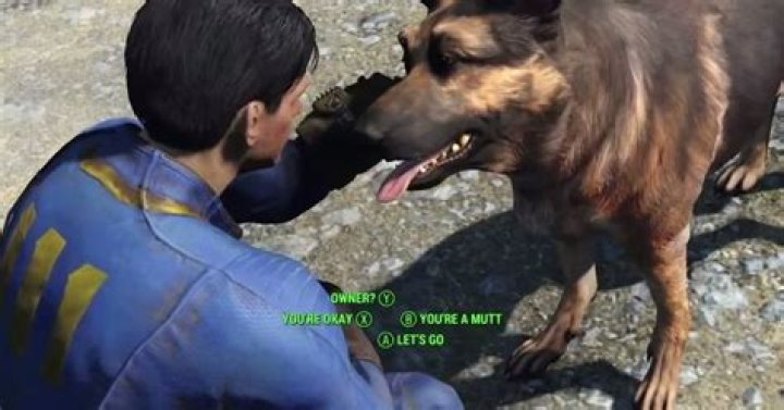 Dogmeat the Fallout 4 dog cannot die