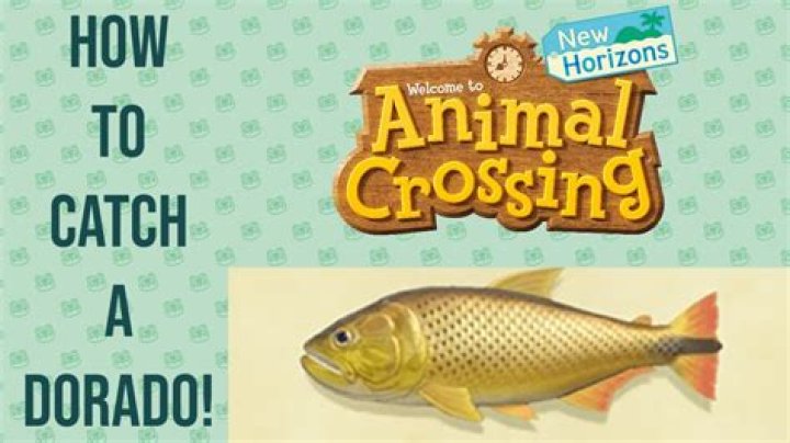 Animal Crossing New Horizons Dorado Catching Guide