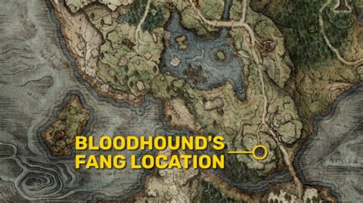 Elden Ring Bloodhound's Fang location