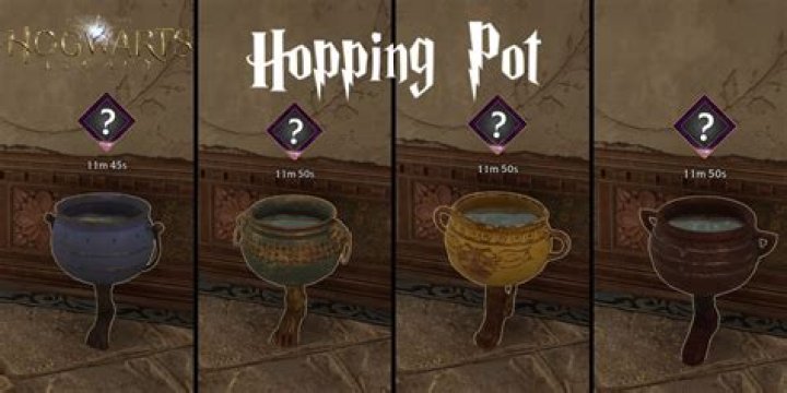 Hogwarts Legacy - Elder wizard leaves what in the hopping ..