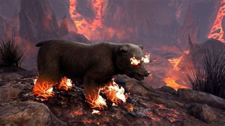 
Elder Scrolls Online: How to Get the Nightmare Bear Cub Pet