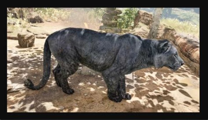 
ESRB Rates Far Cry Primal Detailing Game’s Content