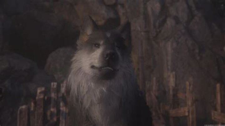 Final Fantasy 16 Achievement Encourages Players To Pet The Dog