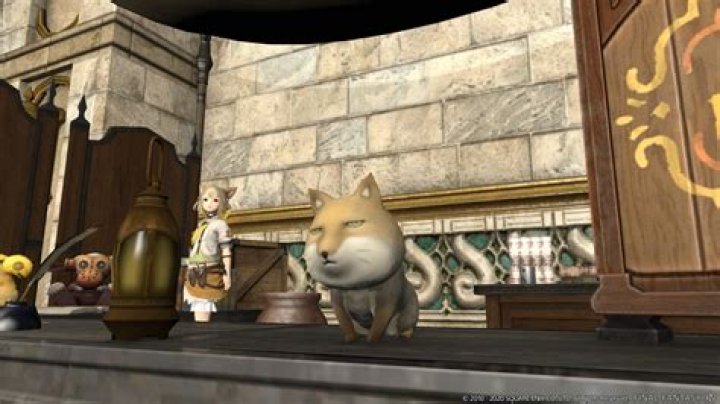 
Final Fantasy XIV – How to Unlock Faux Hollows, How Does Faux Hollows Work
