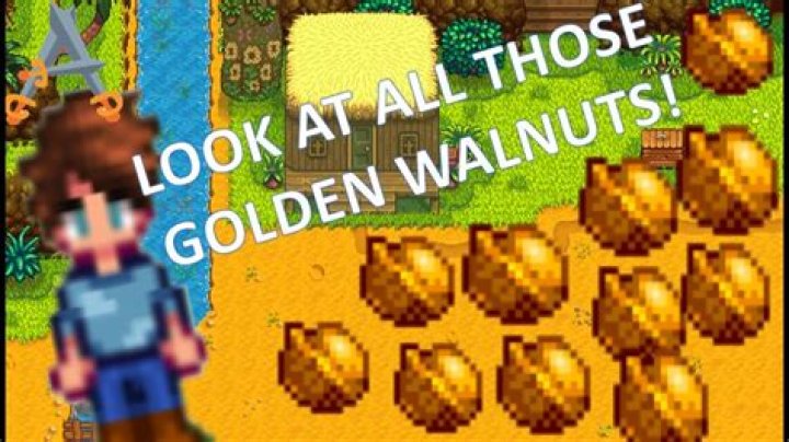 How To Farm Golden Walnuts On Ginger Island