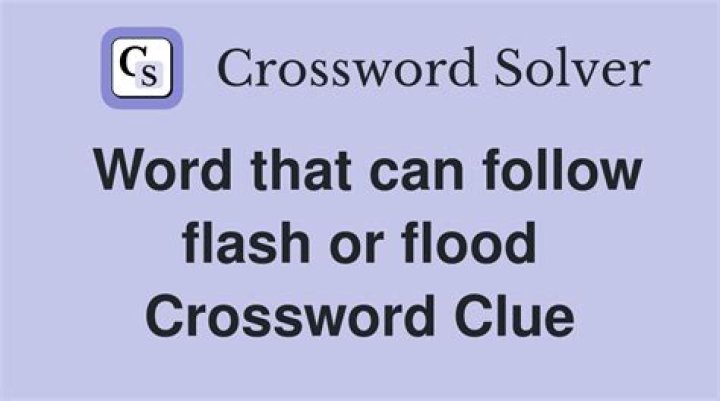 Flash flood preventer crossword clue answer