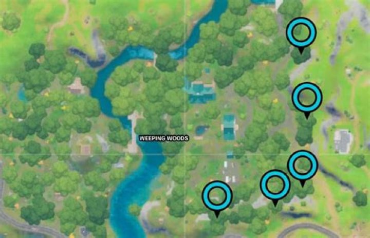 Fortnite Weeping Woods Rings Locations