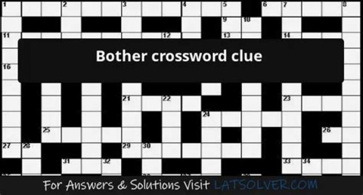 Fuss or bother crossword clue answer
