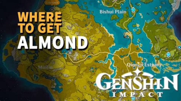 Genshin Impact Almond Location Guide: Where To Find Almonds