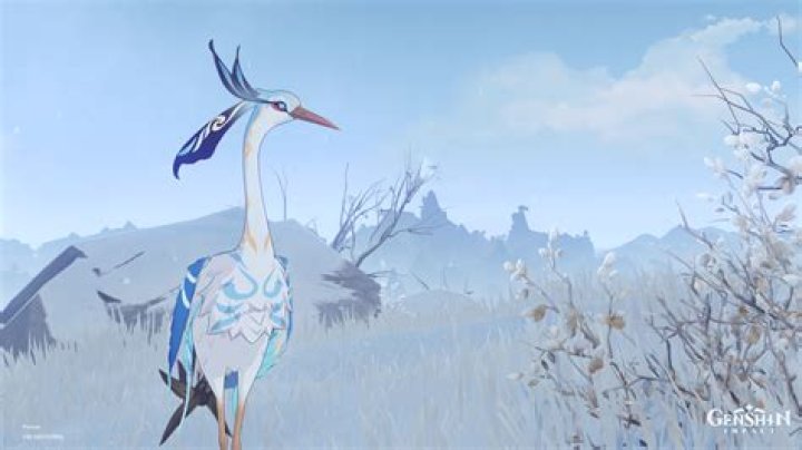 Genshin Impact: Cloud Retainer Could Appear As A Human For Chinese New Year