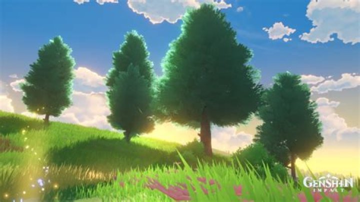 
Genshin Impact Fir Wood Locations – Where to Find Fir Trees