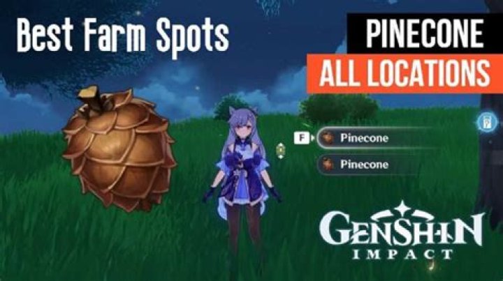 Where to Find Pinecones in Genshin Impact For Liben