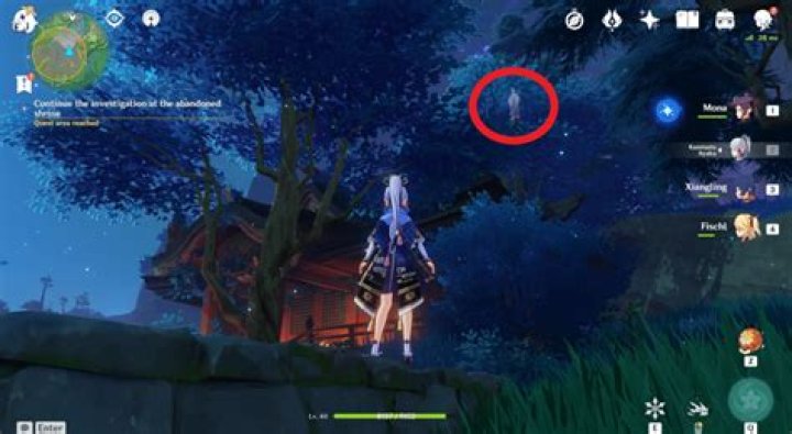 Genshin Impact Sacrificial Offering: Mysterious Shadows at Shrine