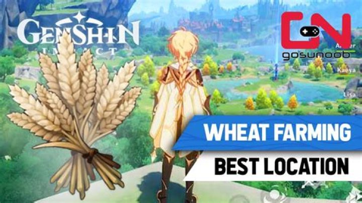 How To Find Wheat In Genshin Impact (Location & Farming Guide)