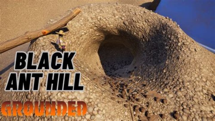 Grounded: Black Ant Hill Location