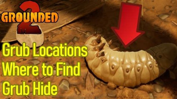 
Grounded – Where to Find Grubs and Grub Hide