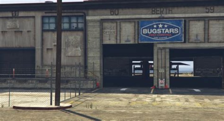 
The GTA V Bugstars get to work