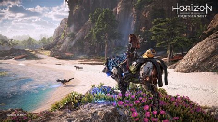 Here's some Horizon Forbidden West PS4 screenshots