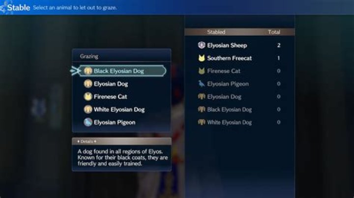 How long does it take for animal resources to appear at Somniel in Fire Emblem Engage?