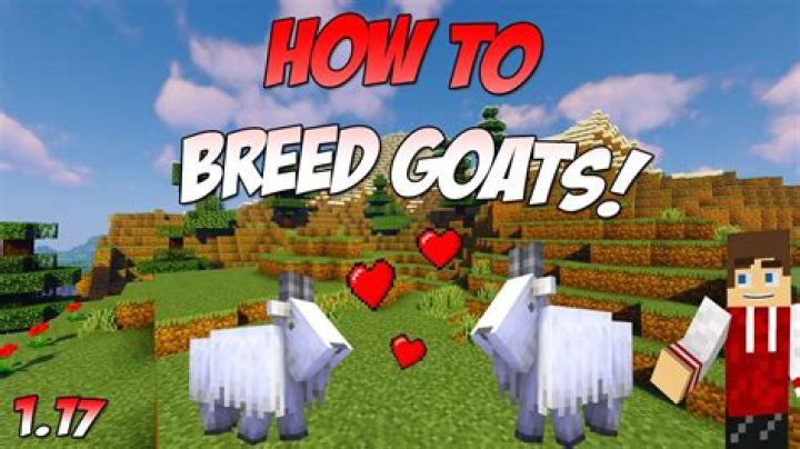 How to Breed Goats in Minecraft