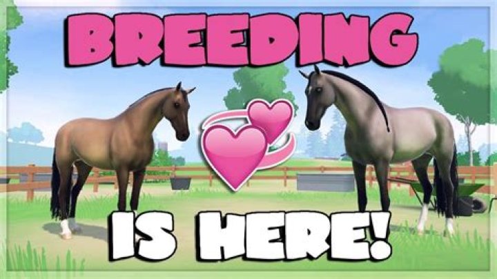 How to Breed Horses - Black Desert Mobile Guide and Tips