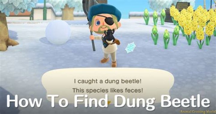 How to Catch a Dung Beetle – Animal Crossing New Horizons