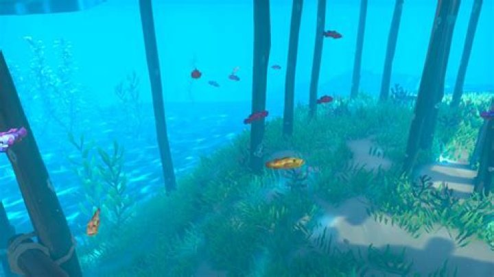 How to catch all Splashtails in Sea of Thieves