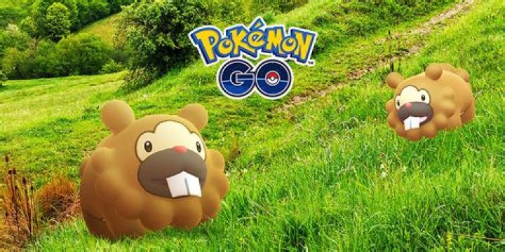 Pokemon Go: How To Catch A Shiny Bidoof