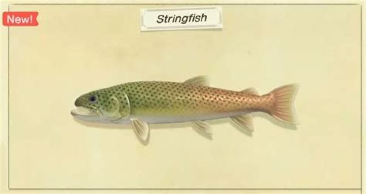 How To Quickly Catch Stringfish In Animal Crossing New Horizons
