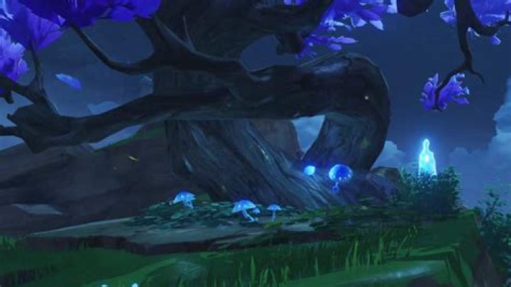 How to complete the Play Hide and Seek with Nonno Hidden Objective in Genshin Impact