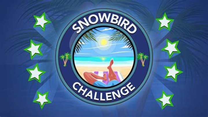 How to Complete the Snowbird Challenge in Bitlife