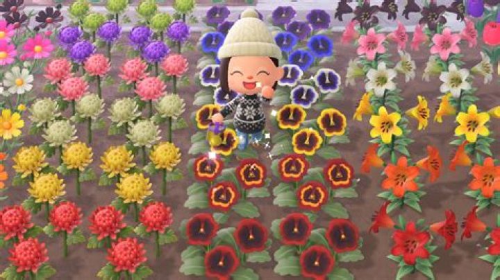 How To Create Hybrid Flowers In Animal Crossing New Horizons