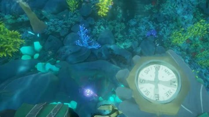How to enter the Shrine of the Coral Tomb in Sea of Thieves