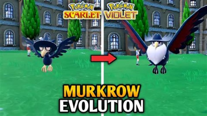 How to evolve Murkrow into Honchkrow in Pokémon Scarlet and Violet