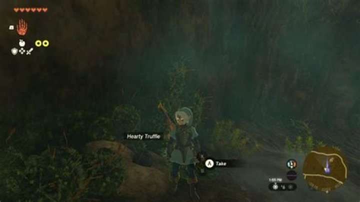 How to farm Hearty Truffles in Zelda TotK (Tears of the Kingdom)