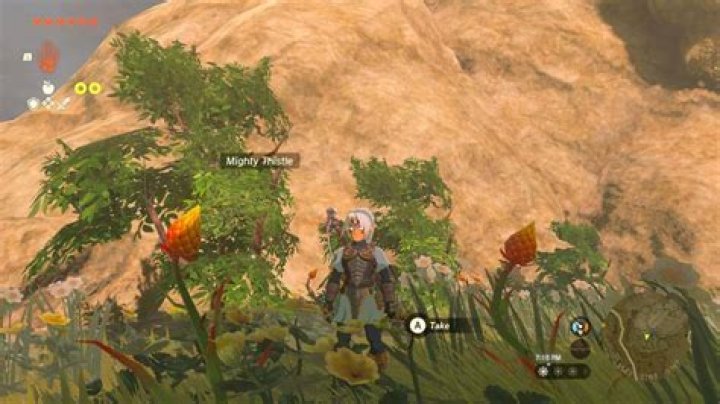 How to farm Mighty Thistle fast in Zelda Tears of the Kingdom (TOTK)